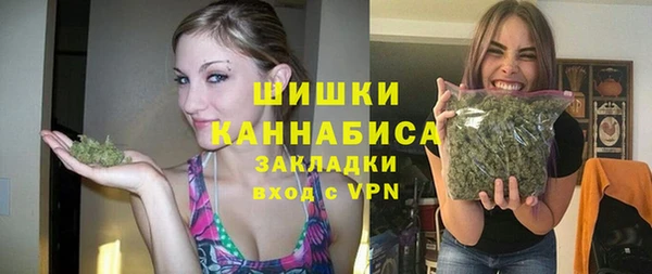прущие грибы Арсеньев