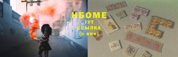прущие грибы Арсеньев