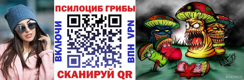 Псилоцибиновые грибы MAGIC MUSHROOMS  blacksprut зеркало  Медногорск  хочу наркоту 